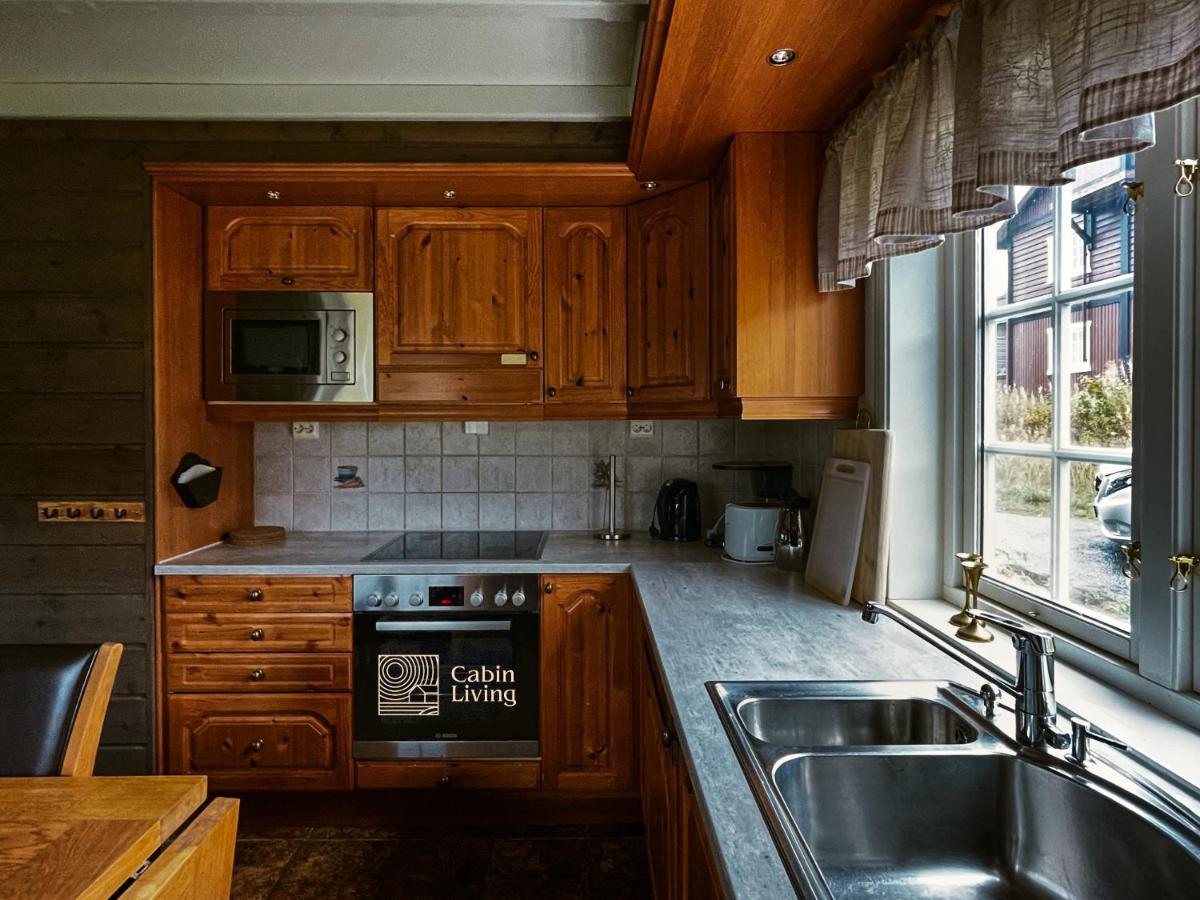 Great Apartment In Trysil, Ski Inout, Wifi, Sauna Kültér fotó